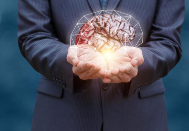 mind strategy